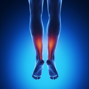 The Purpose of the Achilles Tendon